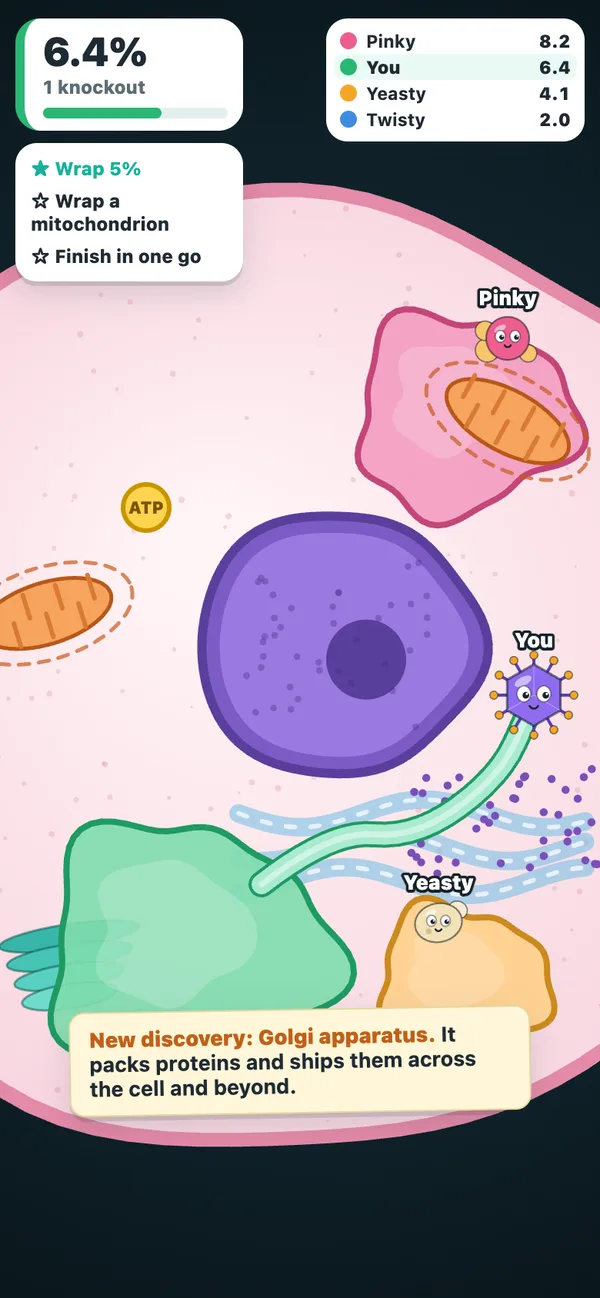 Stretch out, loop back and wrap the cell, one organelle at a time.